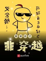 《假装自己非穿越》小说封面