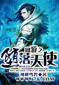 《网游之堕落天使》小说封面