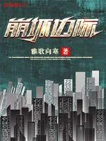 《崩坏边际》小说封面