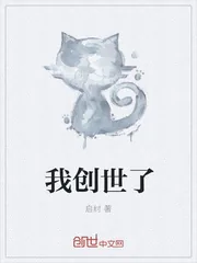 《我创世了》小说封面