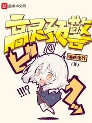 《高灵预警》小说封面