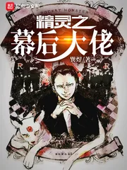 《精灵之幕后大佬》小说封面