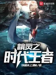 《精灵之时代王者》小说封面
