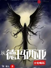 《从德玛西亚开始崛起》小说封面