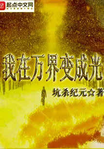 《我在万界变成光》小说封面