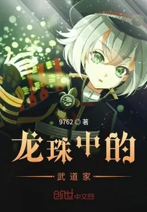 《龙珠中的武道家》小说封面