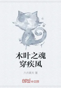 《木叶之魂穿疾风》小说封面
