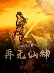 《再无仙神》小说封面