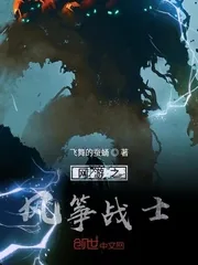 《网游之风筝战士》小说封面