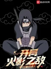 《开局火影之敌》小说封面
