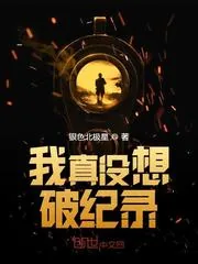 《我真没想破纪录》小说封面
