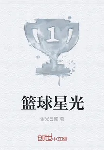 《篮球星光》小说封面