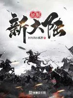 《征服新大陆》小说封面