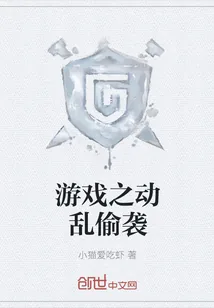 《游戏之动乱偷袭》小说封面