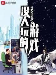 《没人玩的游戏》小说封面