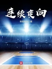 《连续变向》小说封面