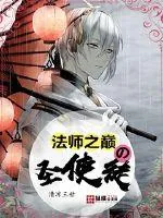 《法师之巅的圣使徒》小说封面