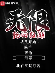 《无限轮回狂潮》小说封面