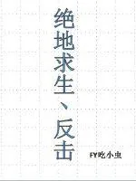 《绝地求生之反击》小说封面