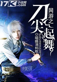 《网游之刀尖起舞》小说封面