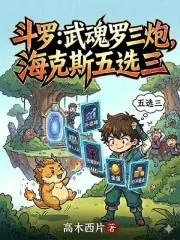 《斗罗：武魂罗三炮，海克斯五选三》小说封面
