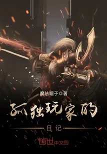 《孤独玩家的日记》小说封面