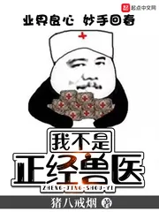 《我不是正经兽医》小说封面