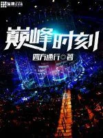 《巅峰时刻》小说封面
