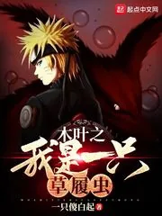 《木叶之崩坏降临》小说封面