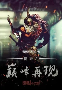 《网游之巅峰再现》小说封面