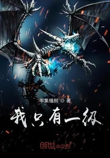 《我只有一级》小说封面