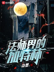 《法师界的加特林》小说封面