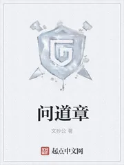 《问道章》小说封面