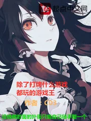《除了打牌什么游戏都玩的游戏王》小说封面