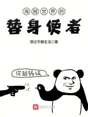《海贼世界的替身使者》小说封面