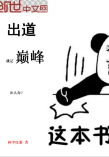 《出道就是巅峰怎么办》小说封面