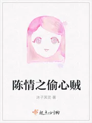 《陈情之偷心贼》小说封面