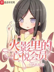 《木叶里的心悦会员》小说封面
