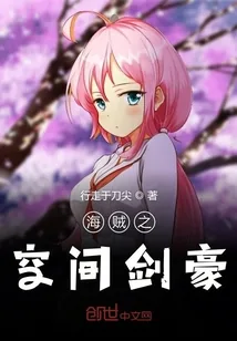 《海贼之空间剑豪》小说封面