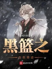 《黑篮之白色奇迹》小说封面