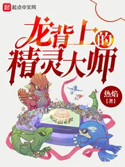 《龙背上的精灵大师》小说封面