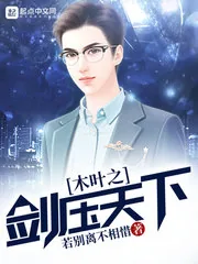 《木叶之剑压天下》小说封面