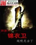 《网游之锦衣卫》小说封面