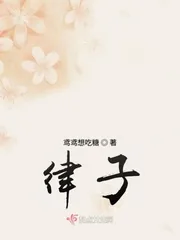 《律子》小说封面