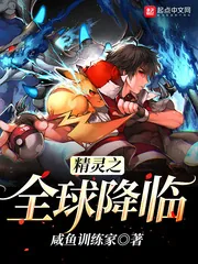 《精灵之全球降临》小说封面