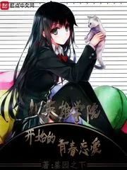 《从英雄学院开始的青春恋爱》小说封面