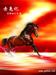 《赤兔记》小说封面
