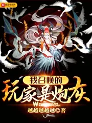 《我召唤的玩家是炮灰》小说封面