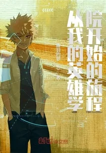 《从我的英雄学院开始的旅程》小说封面