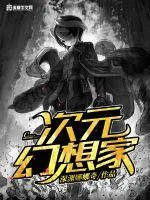 《次元幻想家》小说封面